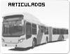 Articulados / Bi-Articulados